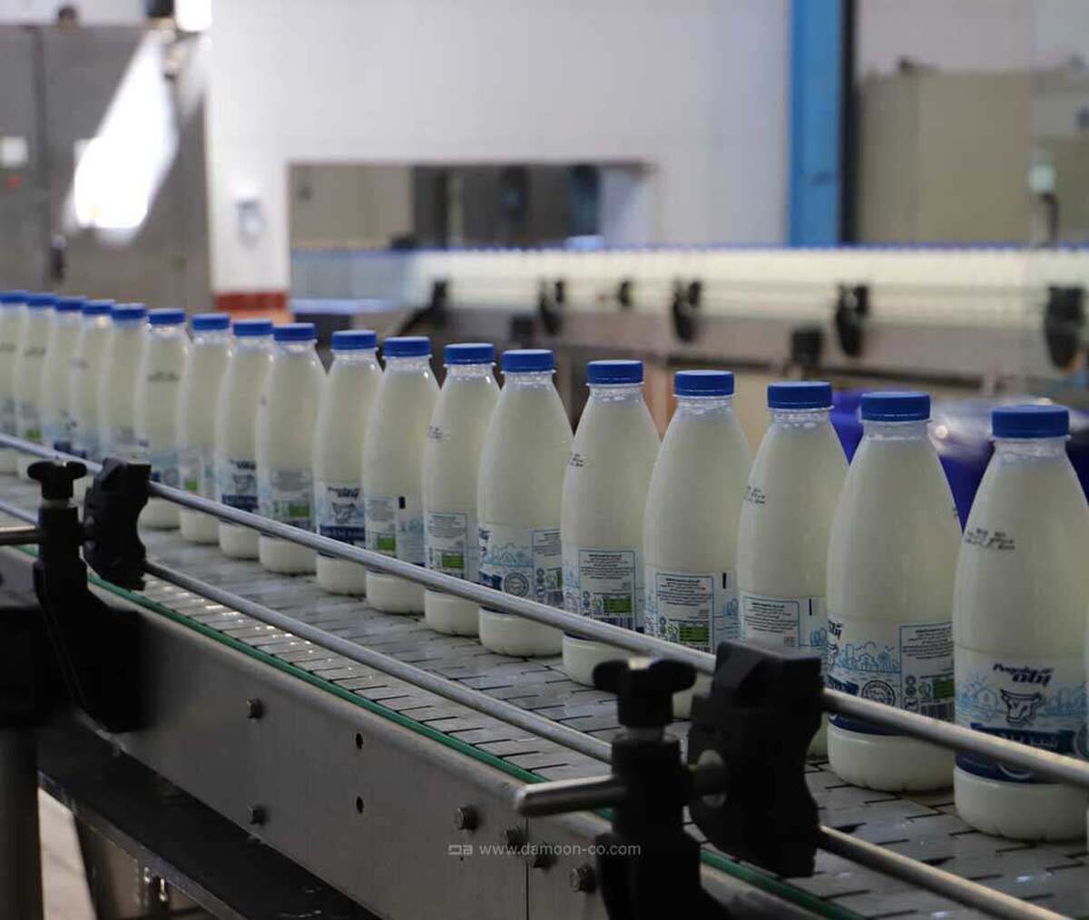 پشت‌پرده گرانی مداوم لبنیات در بازار فاش شد