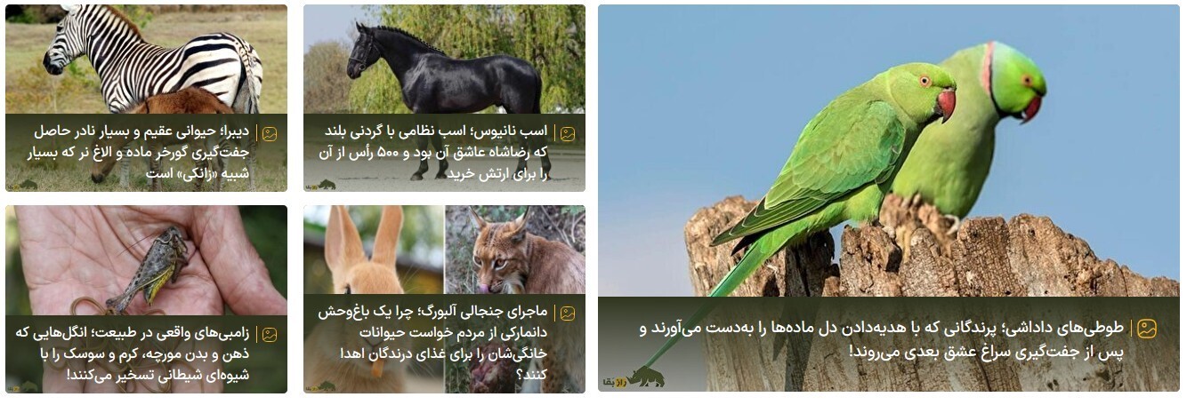 سایت راز بقا؛ اولین مرجع تخصصی حیات‌وحش ایران و جهان